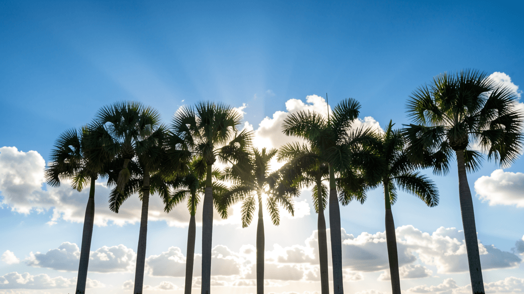 Florida new laws legislation — illustration, Jake Team LLC