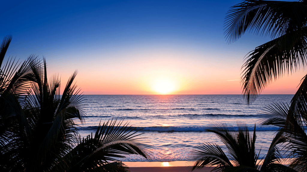 Florida coastal sunrise — illustration, Jake Team LLC